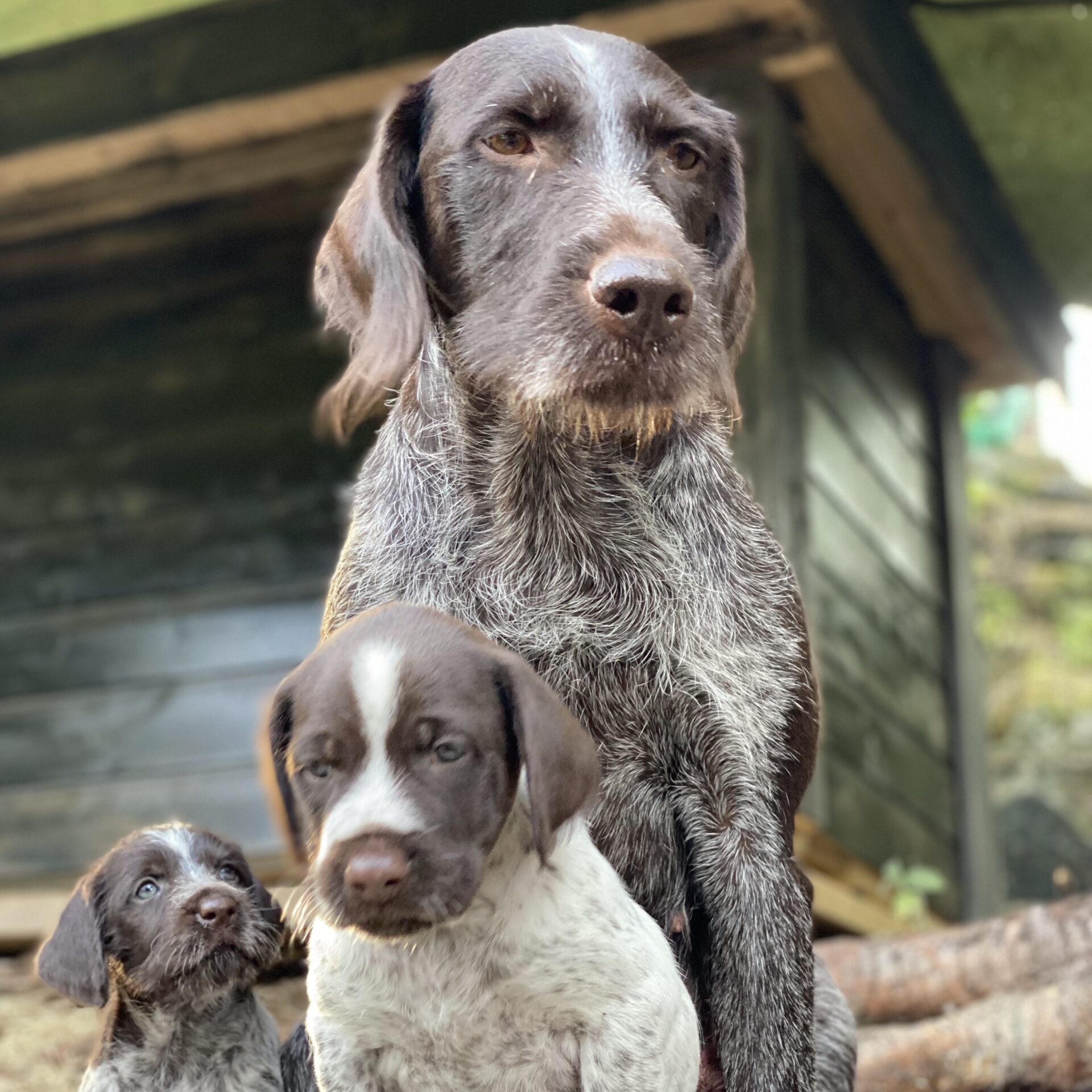 20240606_174104944_iOS